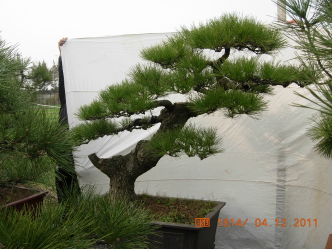 DSCN4732.JPG