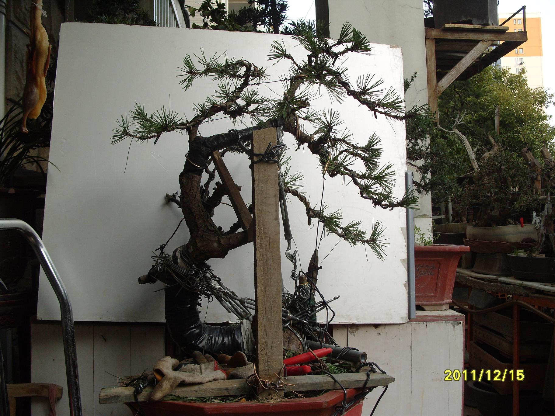 S1054103.JPG