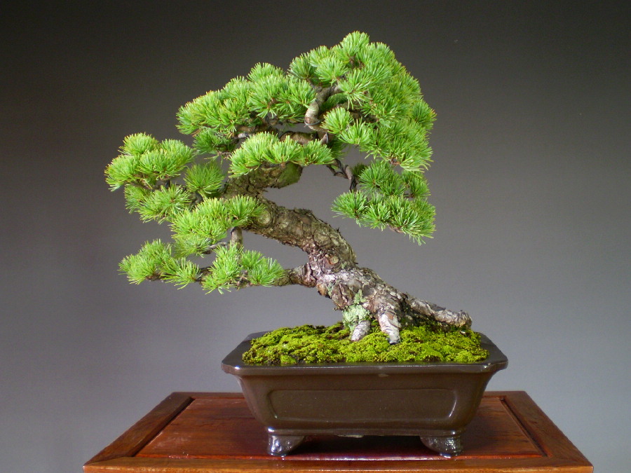 20111010_07c09b.jpg