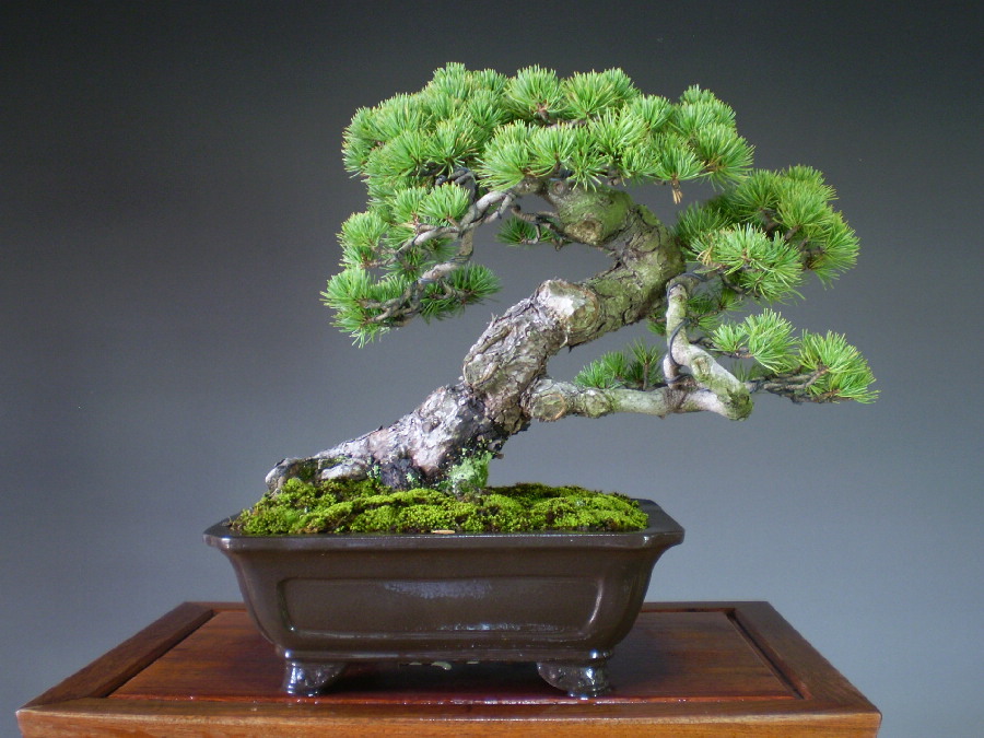 20111010_054dbd.jpg