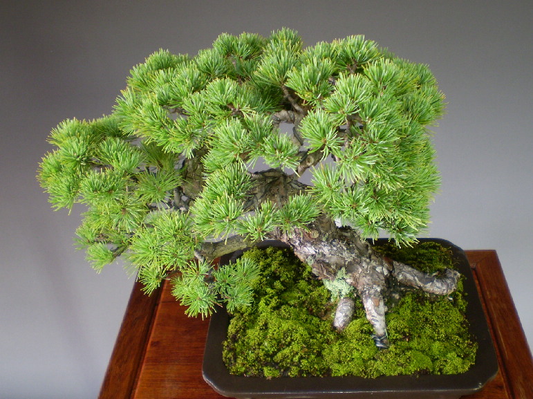 20111010_64e8b5.jpg
