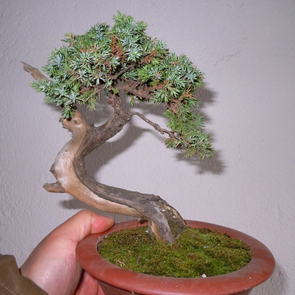 DSCN1736_.jpg