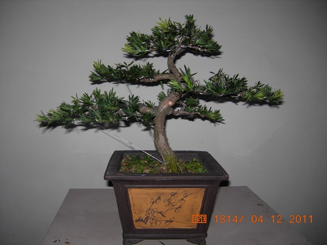 DSCN4802.JPG