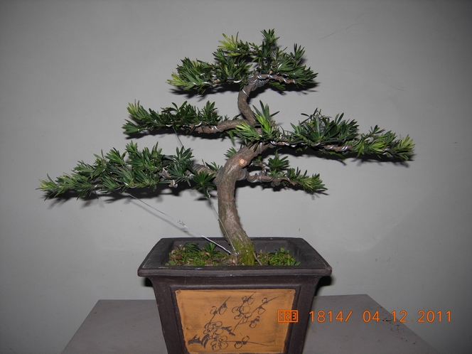 DSCN4803.JPG