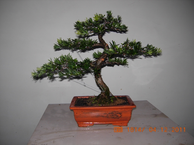 DSCN4804.JPG
