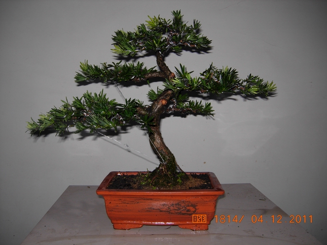 DSCN4805.JPG