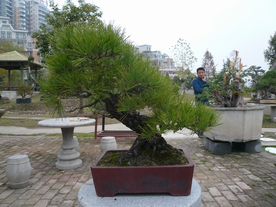 P1110036.JPG
