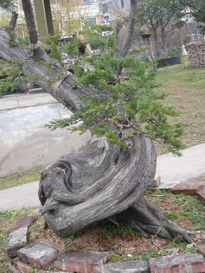 P1110046.JPG