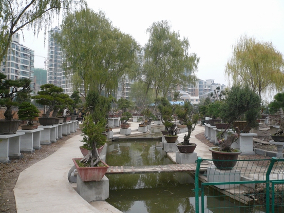 P1110061.JPG