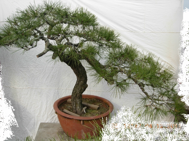 DSCN4719.JPG