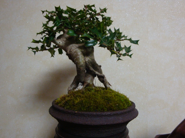 DSC07178.JPG