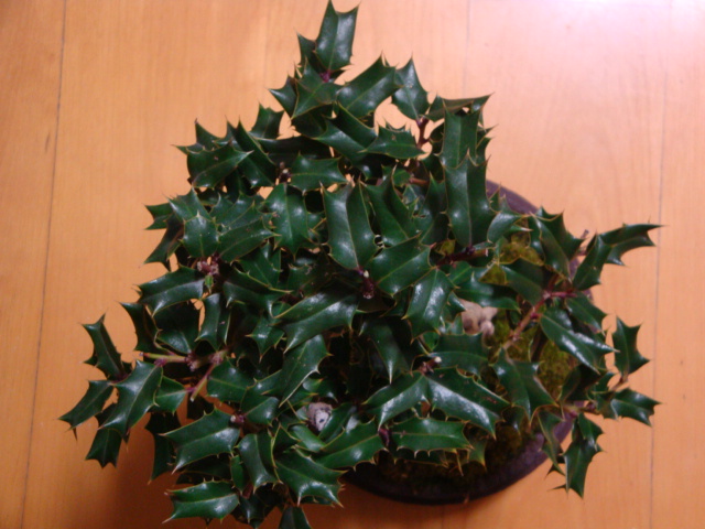 DSC07180.JPG