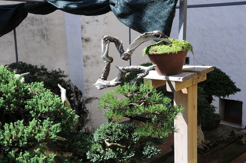 Autumn2010_5.jpg