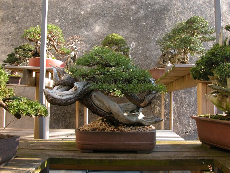 spring2010_2.jpg