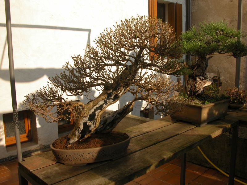 spring2010_15.jpg