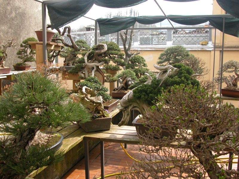 spring2010_16.jpg