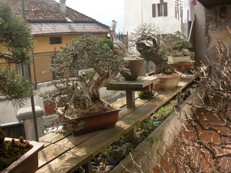 spring2010_17.jpg