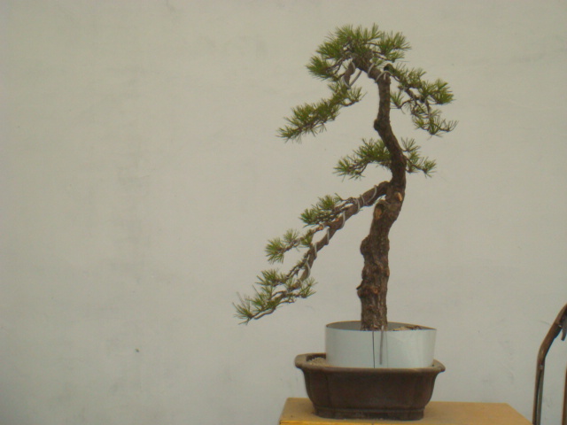 DSC08842.JPG