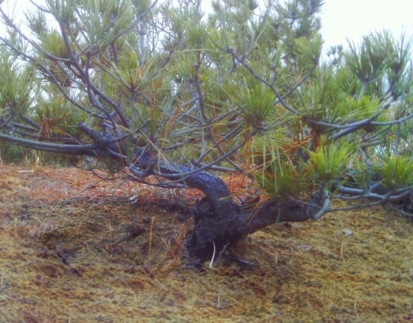 IMAG0028.JPG