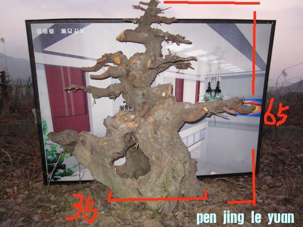 IMG_3457.jpg