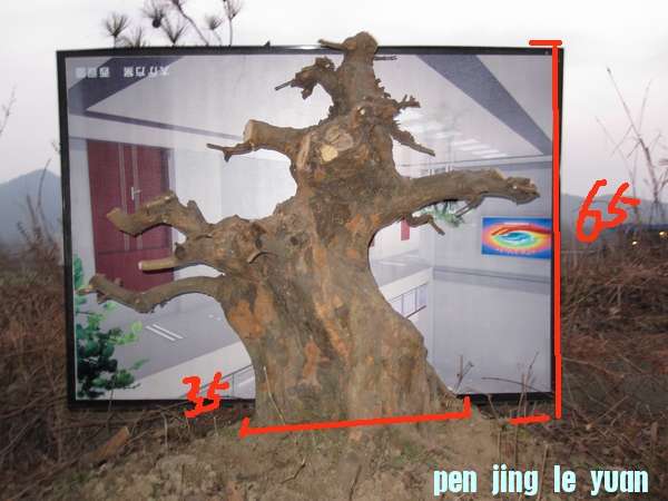 IMG_3461.jpg