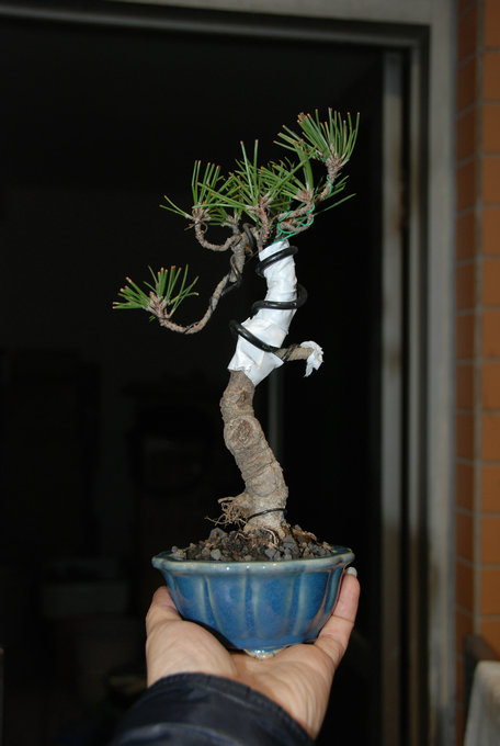 DSC_0436.JPG