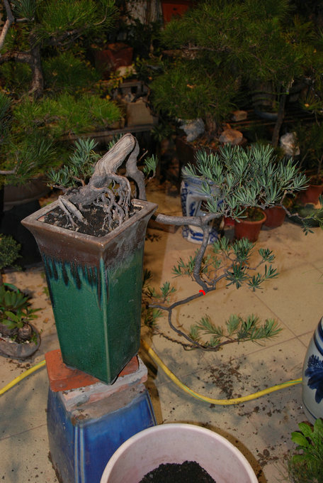 DSC_0443.JPG