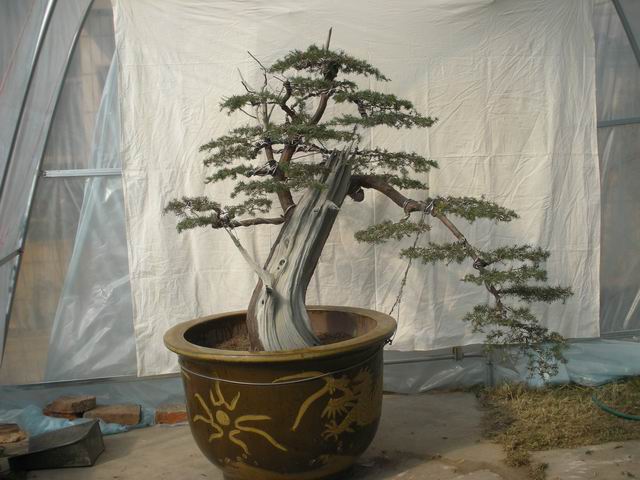 С DSCN4702.jpg
