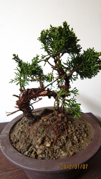 IMG_0933_С.jpg
