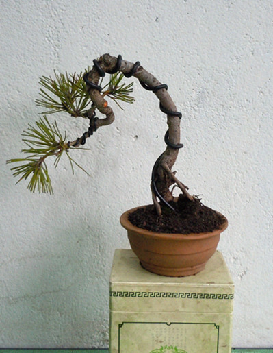 DSCN1748_.jpg
