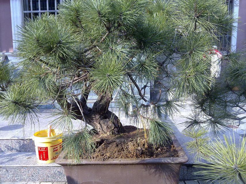 20111228072.jpg