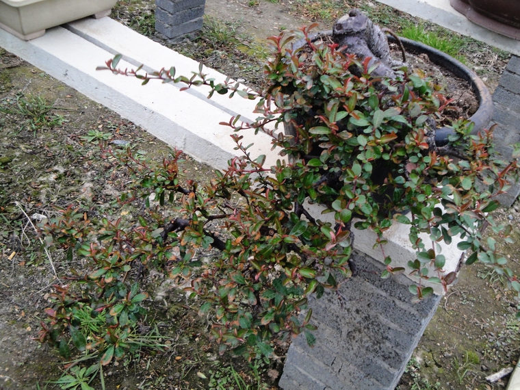 DSC08112.JPG