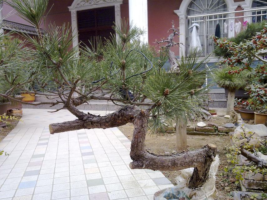 20120111092.jpg