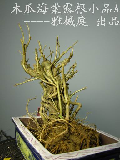 С IMG_0312.JPG