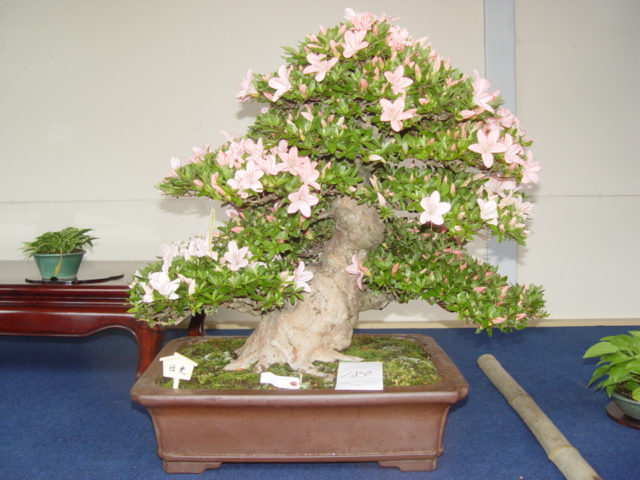DSC00058.jpg