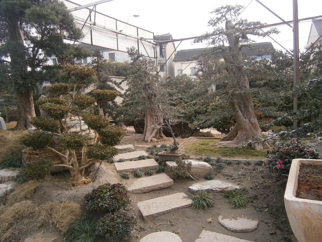 1201151050f05bd4232d17e22c[1].jpg