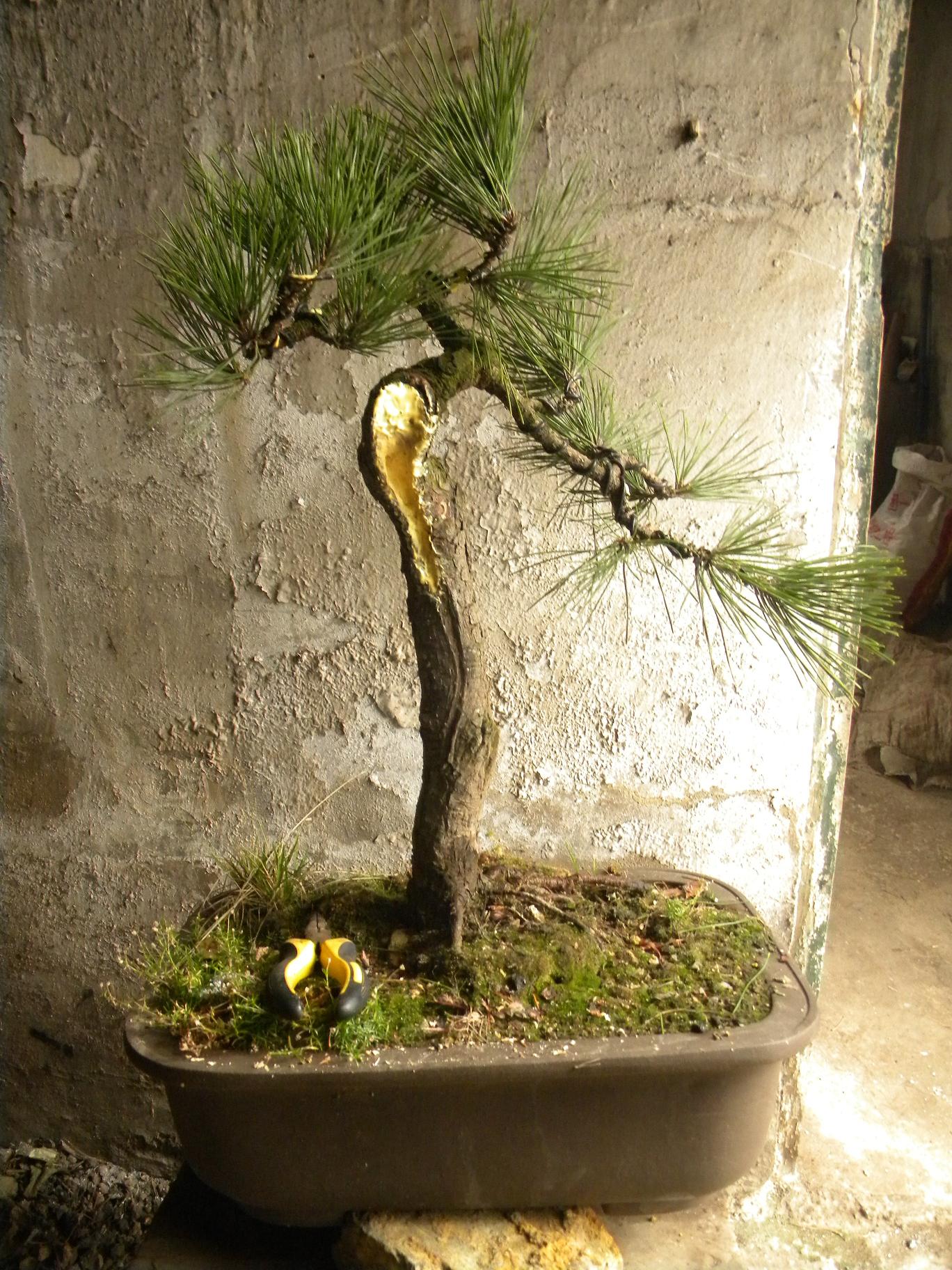 DSCN5165.JPG