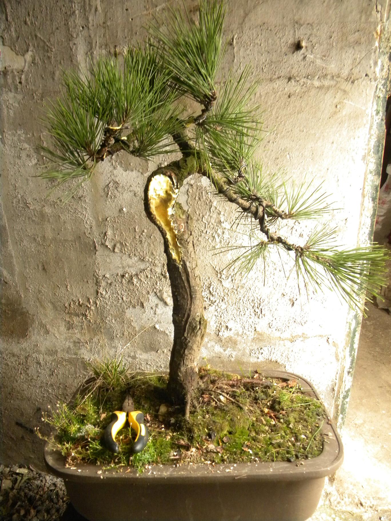 DSCN5166.JPG