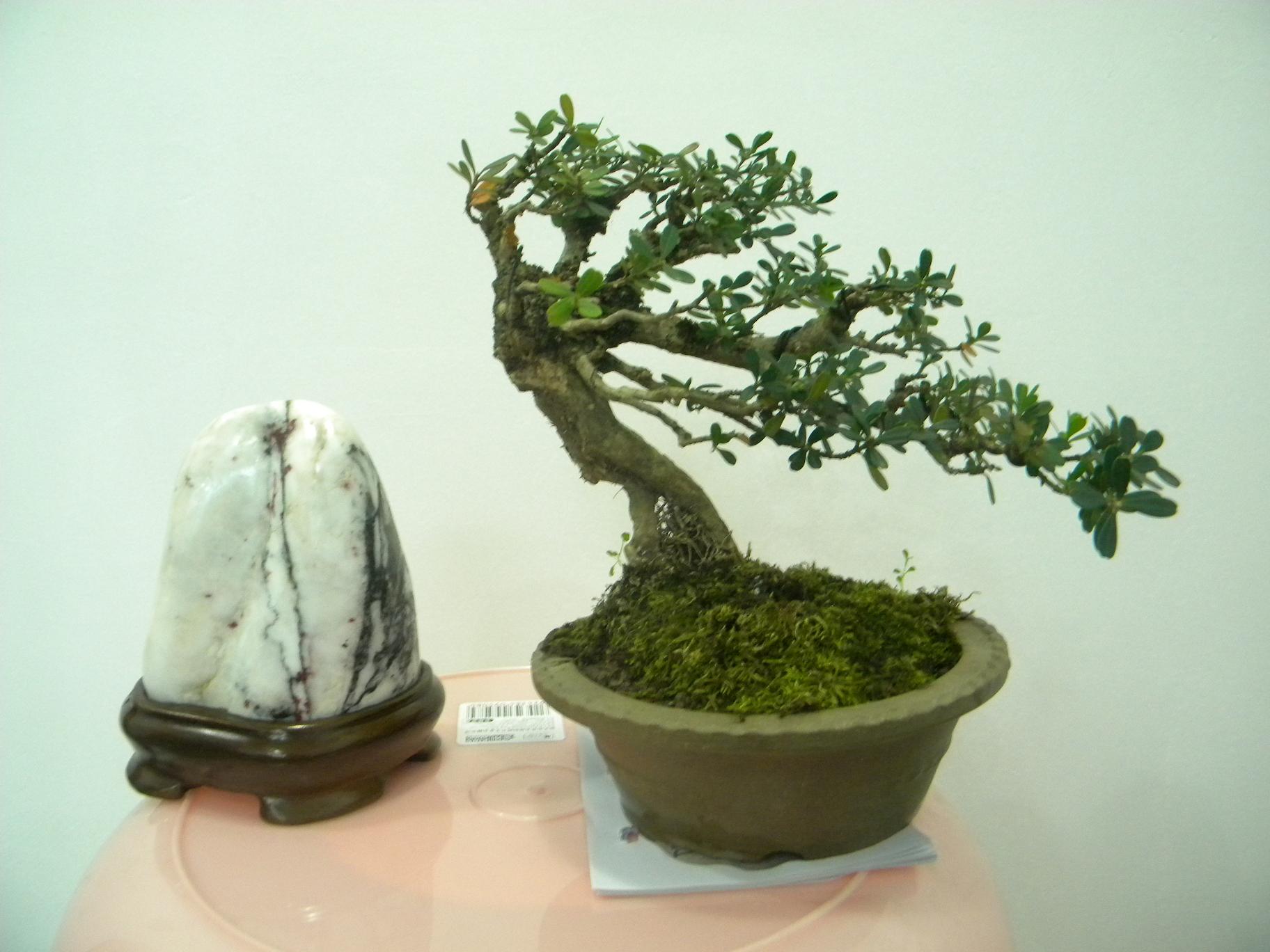 DSCN5228.JPG