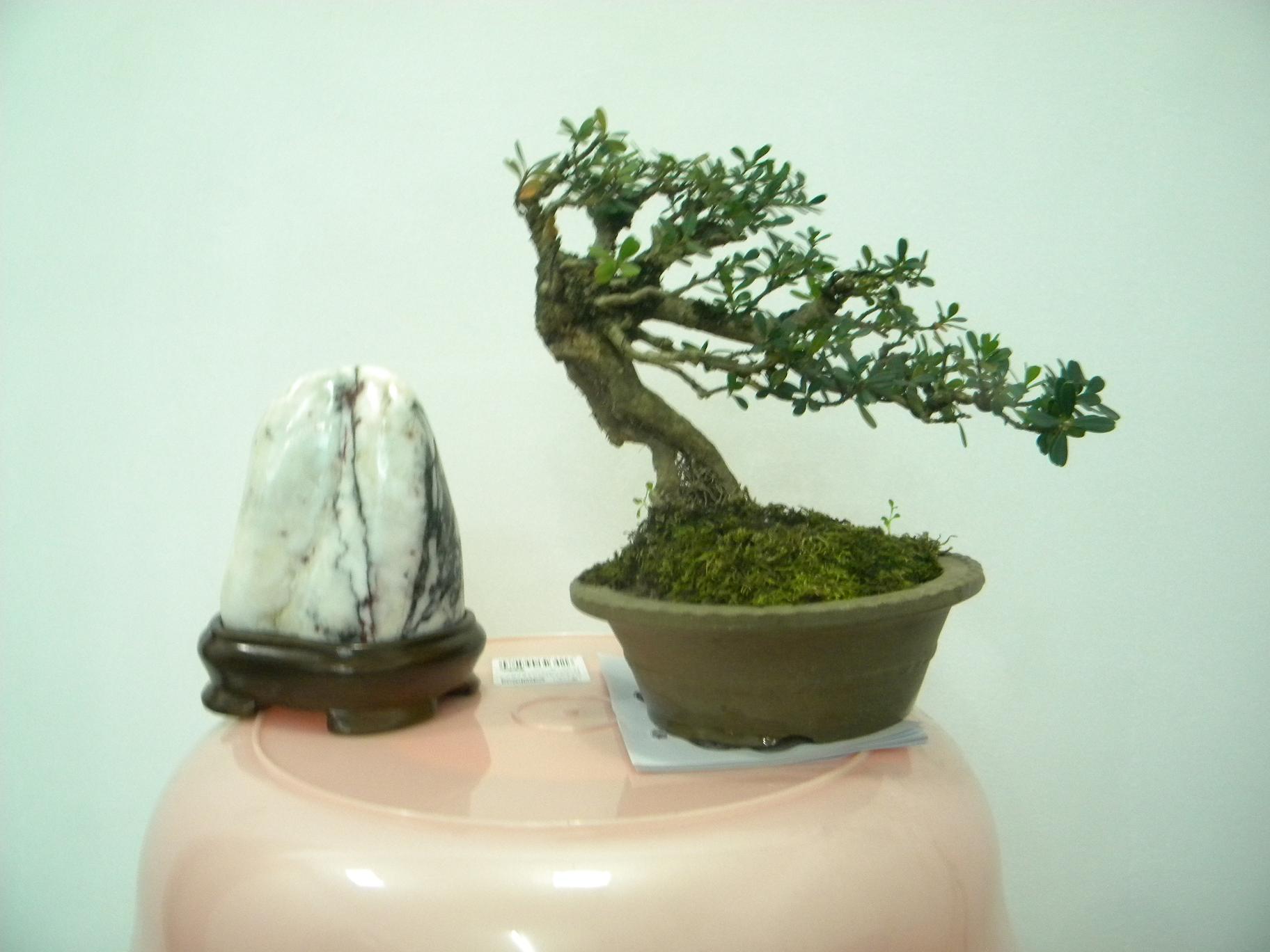DSCN5227.JPG