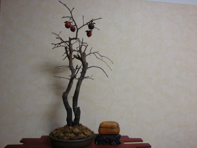 DSC07326.JPG