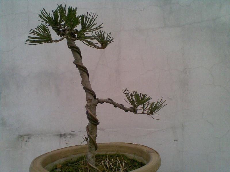 20120124(001).jpg