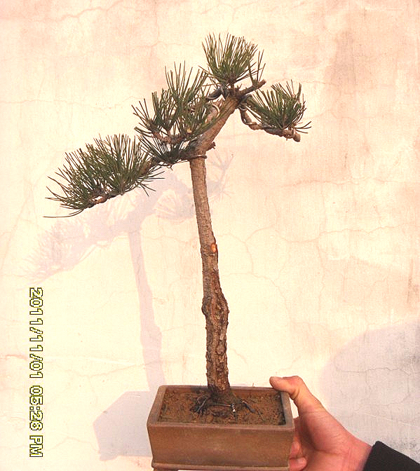 20120003_175335.jpg