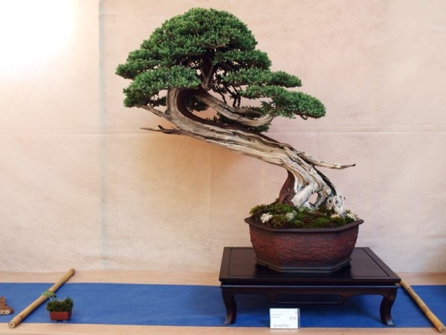 Giareda 2010 008.jpg