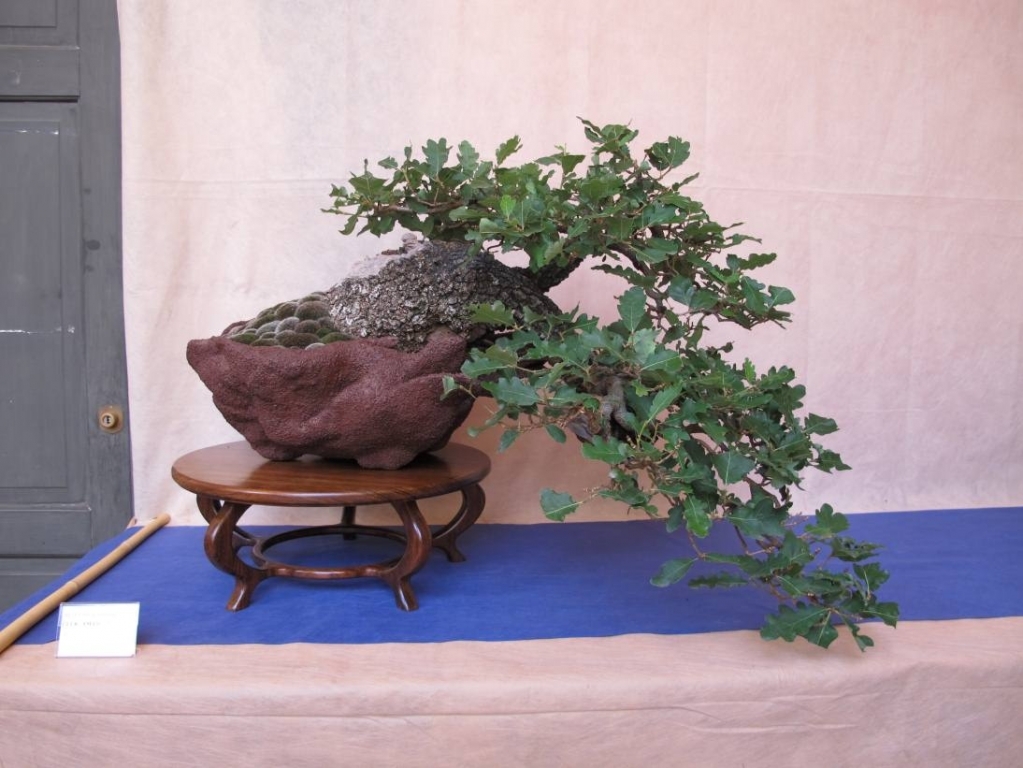 Giareda 2011 003.jpg