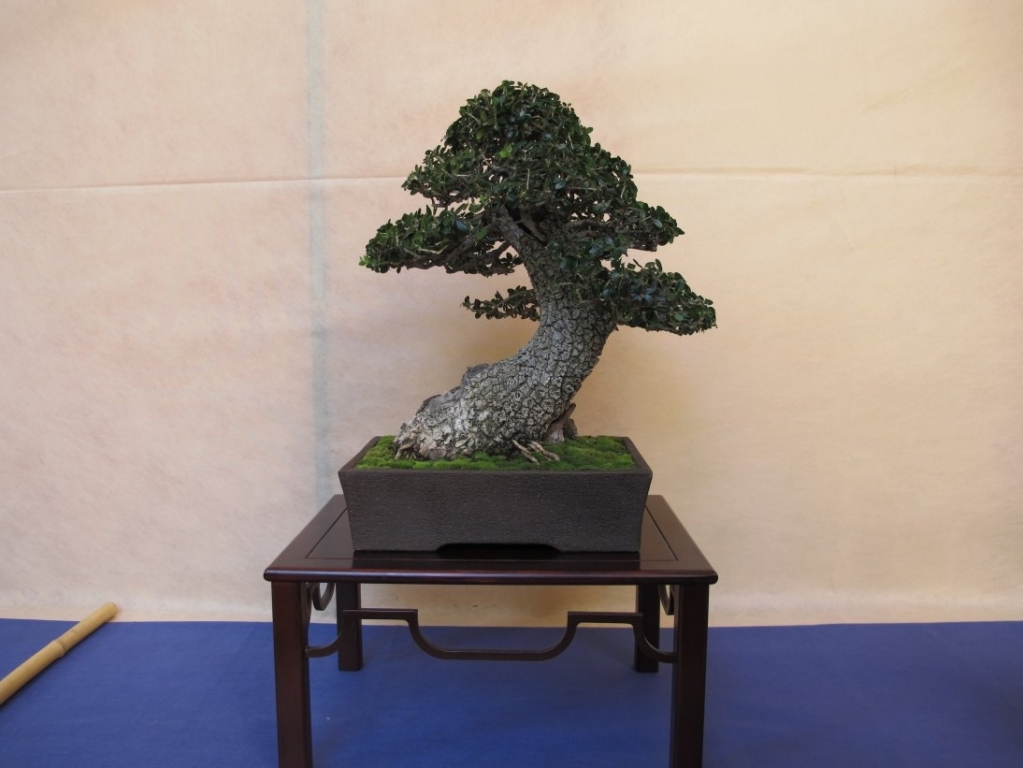 Giareda 2011 004.jpg