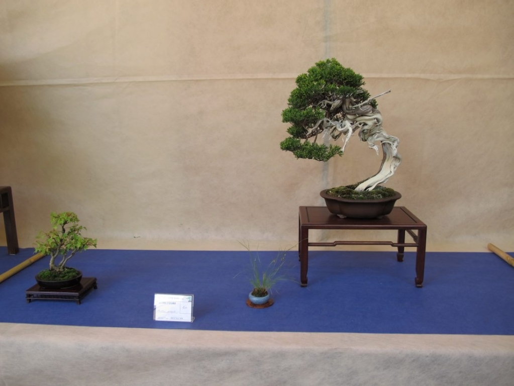 Giareda 2011 046.jpg