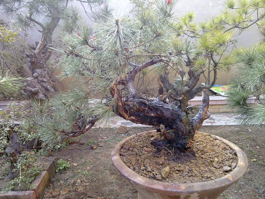 20111230082.jpg