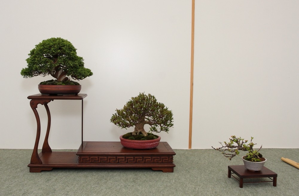 BSA Shohin Off 2011 035.jpg