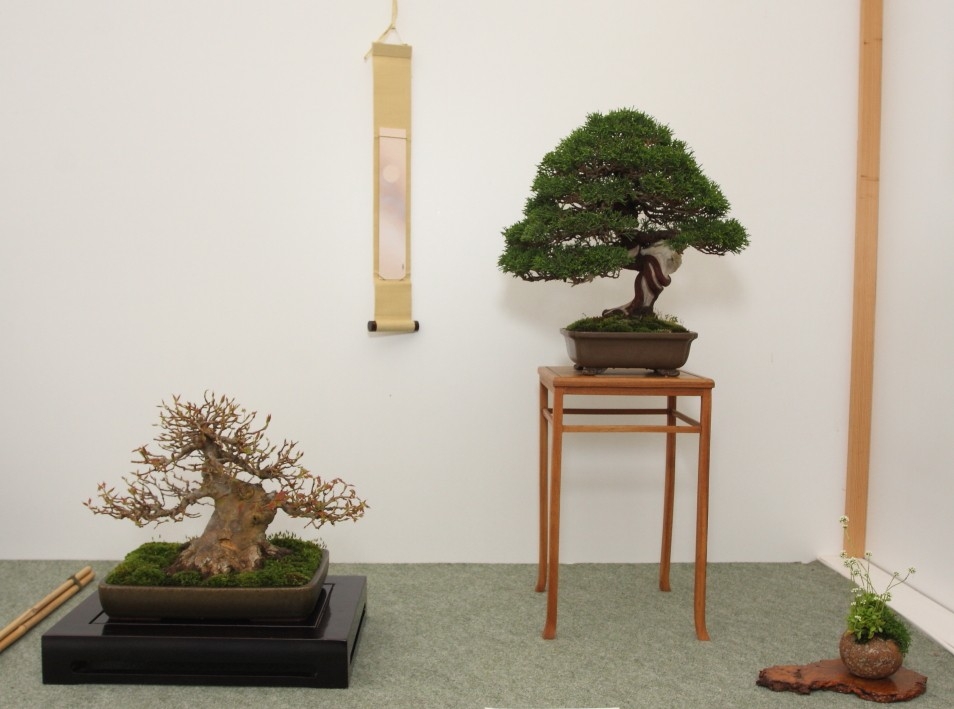 BSA Shohin Off 2011 051.jpg